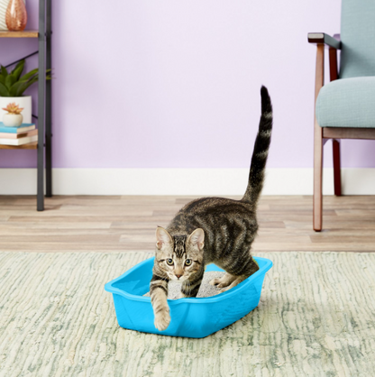 Van Ness Cat & Kitten Pan Litter Box, Easy To Clean, Small, Medium, Large, XL