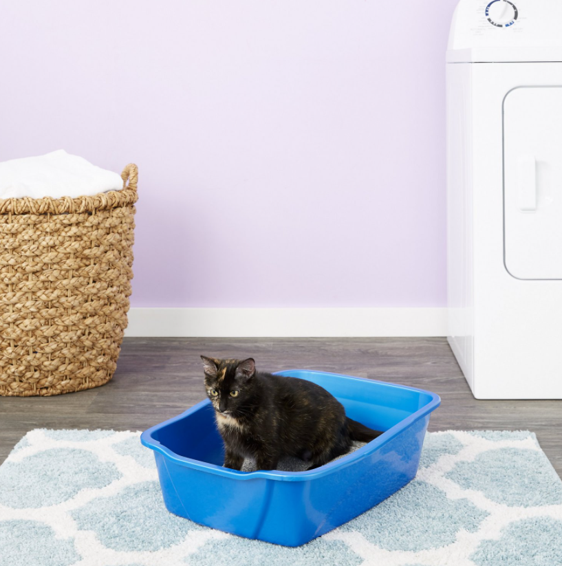 Van Ness Cat & Kitten Pan Litter Box, Easy To Clean, Small, Medium, Large, XL