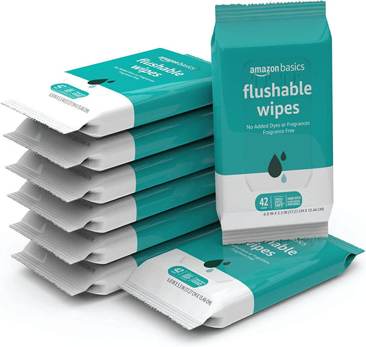 Flushable Unscented Adult Toilet Wet Wipes, 9 Packs, 42/pack, 378 Total